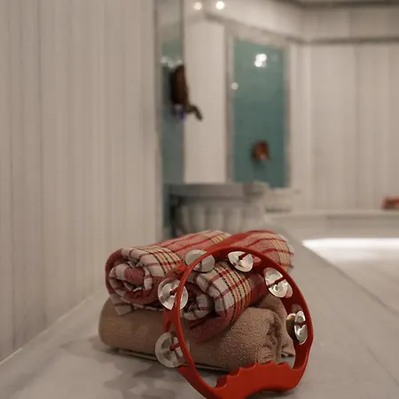 Hattusa Vacation Business Thermal 호텔 4*